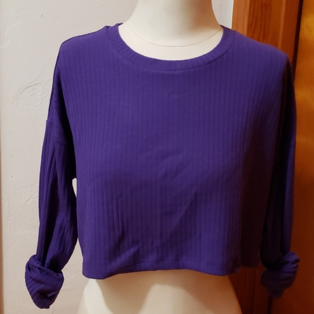 NWT boxy L/S crop top